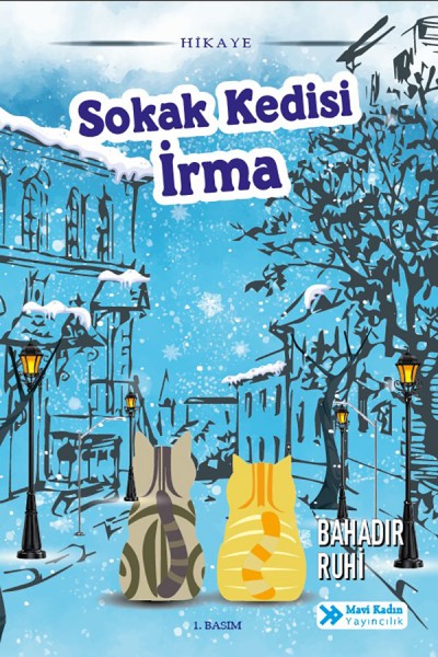 Sokak Kedisi İrma